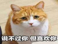 深圳市振华移动通信有限公司