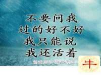 深圳市振华移动通信有限公司