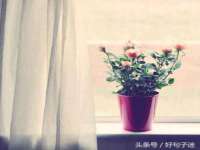 深圳市振华移动通信有限公司