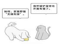 深圳市振华移动通信有限公司