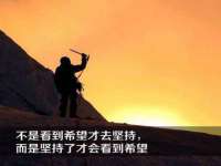 深圳市振华移动通信有限公司