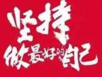 深圳市振华移动通信有限公司