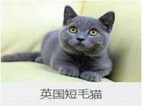 深圳市振华移动通信有限公司
