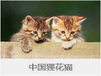 深圳市振华移动通信有限公司