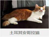 深圳市振华移动通信有限公司