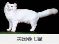 深圳市振华移动通信有限公司
