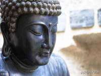 深圳市振华移动通信有限公司