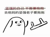 深圳市振华移动通信有限公司