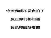 深圳市振华移动通信有限公司
