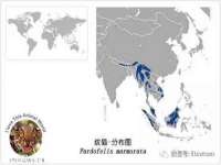 深圳市振华移动通信有限公司