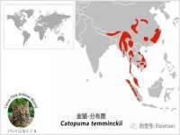 深圳市振华移动通信有限公司