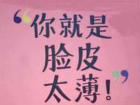 深圳市振华移动通信有限公司