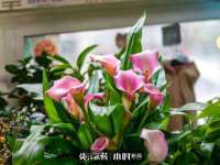深圳市振华移动通信有限公司