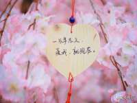 深圳市振华移动通信有限公司