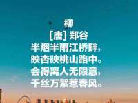 深圳市振华移动通信有限公司