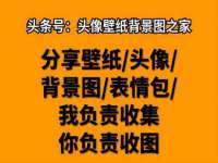 深圳市振华移动通信有限公司