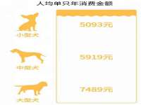 深圳市振华移动通信有限公司