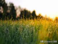 深圳市振华移动通信有限公司