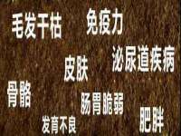 深圳市振华移动通信有限公司