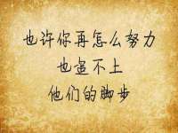 深圳市振华移动通信有限公司