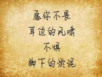 深圳市振华移动通信有限公司