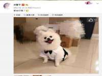 深圳市振华移动通信有限公司