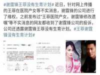 深圳市振华移动通信有限公司
