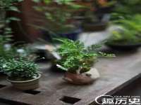 深圳市振华移动通信有限公司