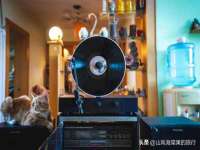 深圳市振华移动通信有限公司