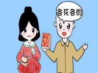 深圳市振华移动通信有限公司