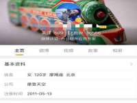 深圳市振华移动通信有限公司
