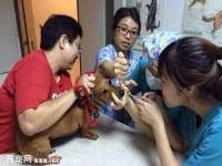 深圳市振华移动通信有限公司
