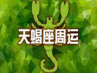 深圳市振华移动通信有限公司
