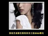 深圳市振华移动通信有限公司